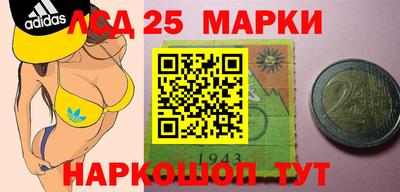 гидра Камышлов
