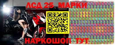 гидра Камышлов