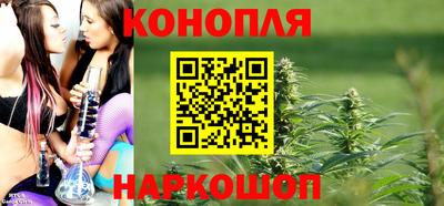 гидра Камышлов