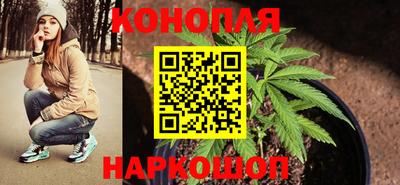 дживик Кандалакша