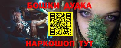 гидра Камышлов