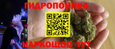 гидра Камышлов