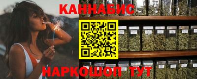гидра Камышлов